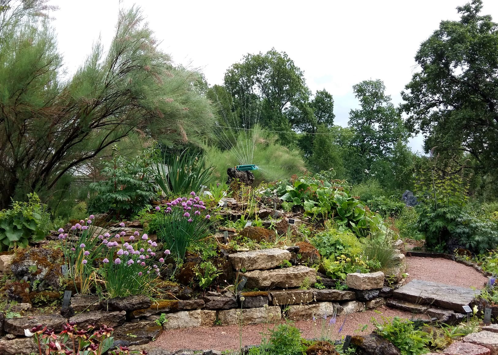 Альпийская горка