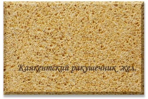 Каякентский ракушечник желтый