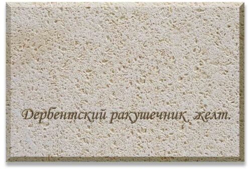 Дербентский ракушечник желт