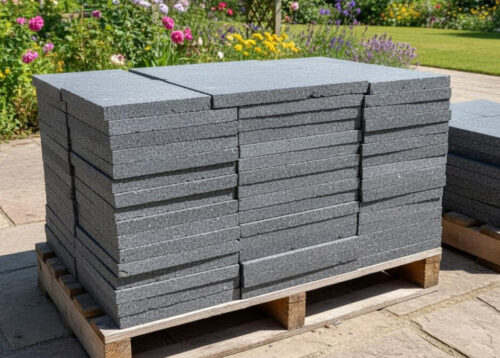 Ракушечник морской дагестанский Ракушечник морской дагестанский