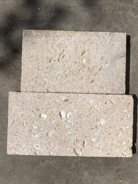 Ракушечник Дербентский белый ракушечник белый рукельский